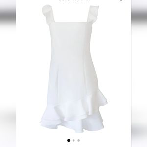 NWT BCBGeneration Cocktail Ruffle Fitted Mini